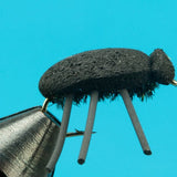 Foam Beetle