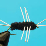 Girdle Bug