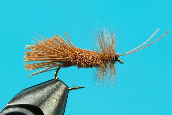 Goddard Caddis - Dry Fly
