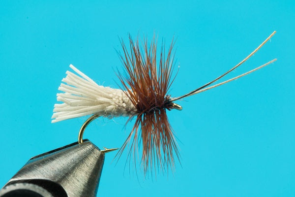 Goddard Caddis - Dry Fly