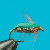 Green Beetle