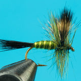 Green Drake  - Mayfly Dry Fly