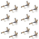 Gray Wulff Classic Trout Dry Fly -12 Flies Hook Size 12