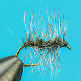 Griffith Gnat