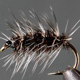 Griffith's Gnat