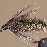 Soft Hackle Grouse