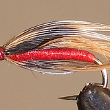 Soft Hackle Grouse