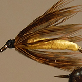 Soft Hackle Grouse