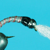 Gun Metal Chironomid - Tungsten