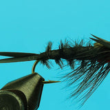 Hellgrammite