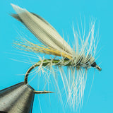 Hemingway Caddis - Dry Fly