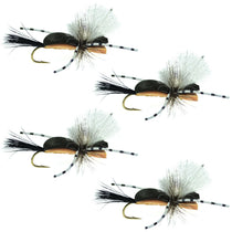 Foam grasshopper dry fly, black and tan, with spiky legs and curved hook (4 flies)