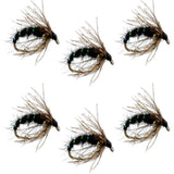 Black Holy Grail Caddis Pupa Emerger 6 Flies Hook Size 16