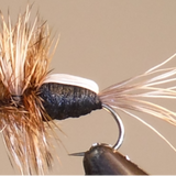 Humpy - 8 Colors