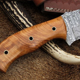 Full Tang Hunter Bowie Knife with Custom Handcrafted Damascus Steel Blade & Olive Wood Handle - 17 Inches