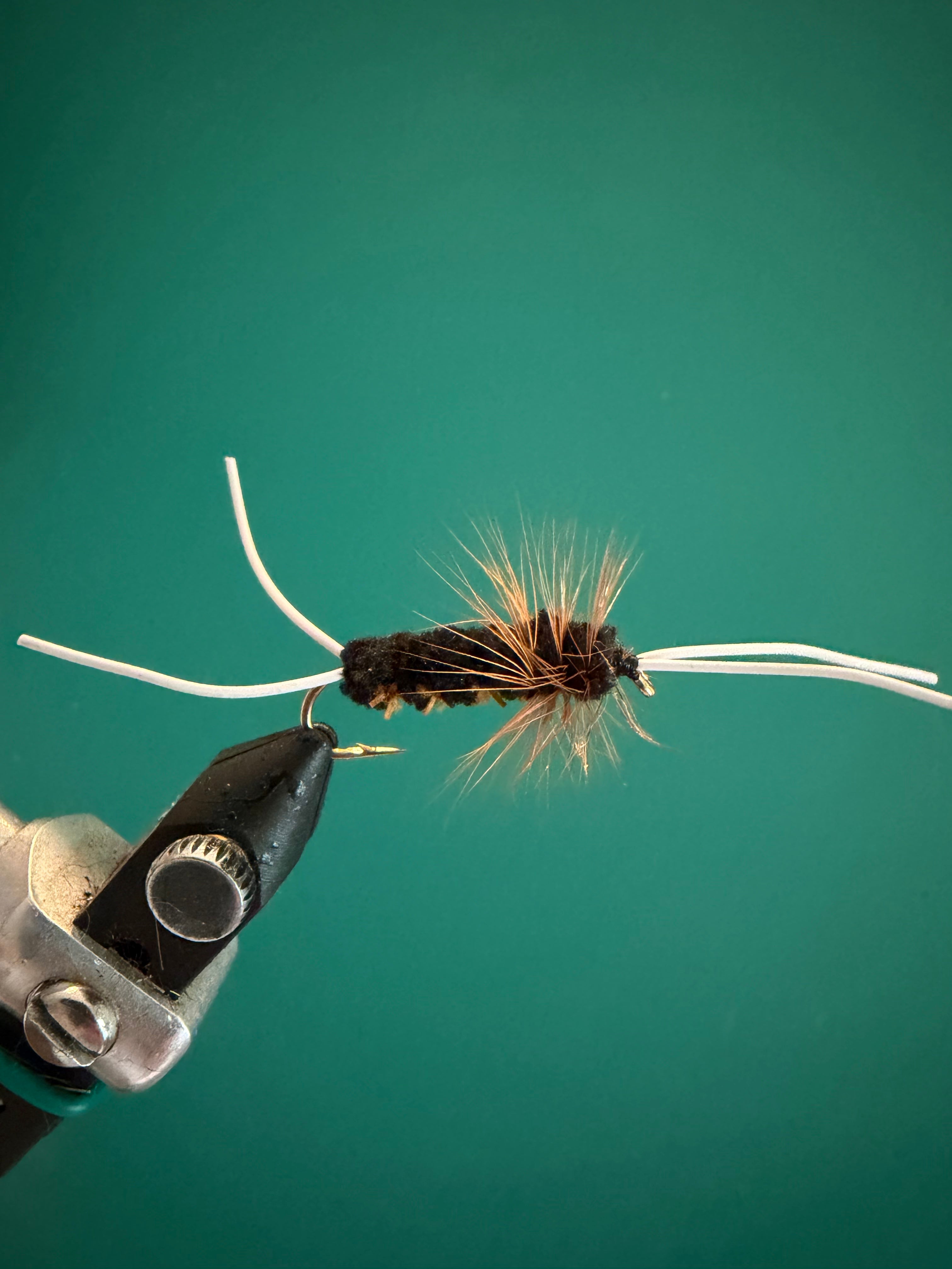 Fishing fly lure by Bitch Creek, dark fuzzy body with light wing strands