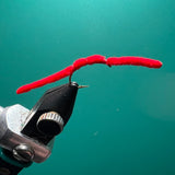San Juan Worm