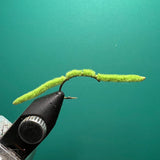 San Juan Worm