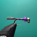 Rainbow Warrior - Purple