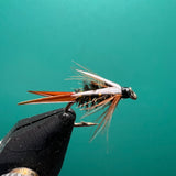Prince Nymph