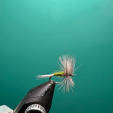 Blue Wing Olive