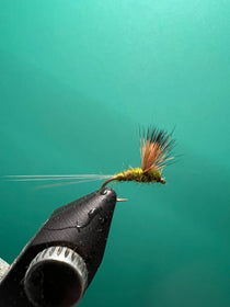 Olive fishing fly with black body and sparse dry-fly hackle wing