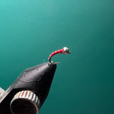 Zebra Midge - Red