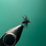 Black Ant