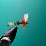 Royal Coachman