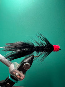 Black egg-sucking leech fishing fly with red tail, feathered hackle, on hook