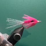 Little Shrimp - Pink