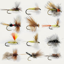 Set of 12 dry flies with barbed hooks, multicolor feathers and foam bodies