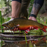 Fly Fishing Marketing Package - Option 1 - Fly Fishing Outfitter