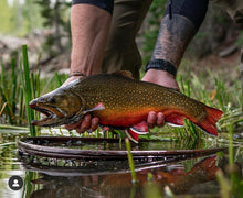 Fly Fishing Marketing Package - Option 1 - Fly Fishing Outfitter