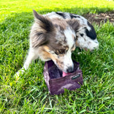 Pike Trail Dyneema Dog Bowl