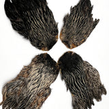 India Hen Neck feather patch (Moonlit)