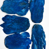 India Hen Neck feather patch (Moonlit)