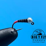 Euro Zebra Midge Hot Butt - Tungsten (Barbless)