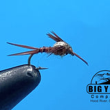 Micro Stone Fly