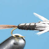 Isonychia Drake Nymph