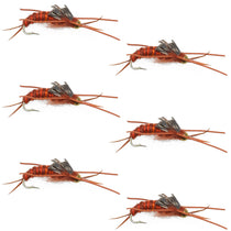 Tungsten bead stone fly wet nymphs with rubber legs, orange-brown bodies, 6 flies