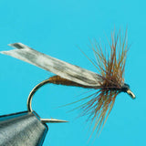 King River Caddis - Dry Fly