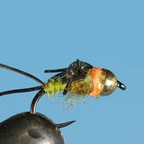 Little Olive - Tungsten