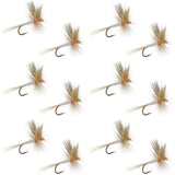Light Cahill Classic Trout Dry Fly Fishing Fly - 1 Dozen Flies Size 12