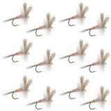 Light Hendrickson Classic Dry Fly - 12 Flies Size 16