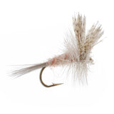 Light Hendrickson Classic Dry Fly - 6 Flies Size 18
