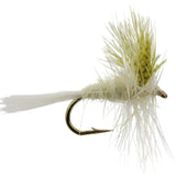 Light Cahill, Size 14 | Qty. 6 | Wild Water Fly Fishing