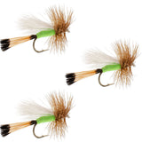 3 Pack Lime Trude Classic Hair Wing Dry Fly - Hook Size 16