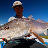 Flash Belly Clouser