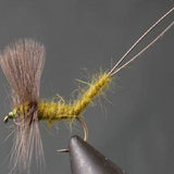 Extended Body Mayfly